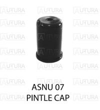 PINTLE CAP WEBBER INJECTORS SHORT TYPE